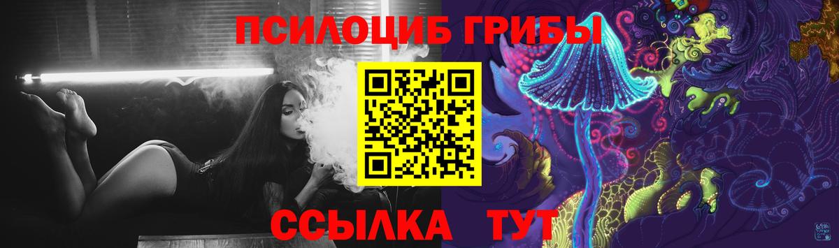 Галлюциногенные грибы Magic Shrooms  Галлюциногенные грибы прущие грибы  хочу наркоту  Лениногорск  Вход с VPN 